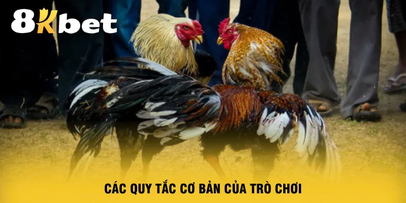 cac-quy-tac-co-ban-cua-tro-choi-da-ga-8kbet