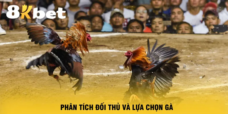 phan-tich-doi-thu-va-lua-chon-ga