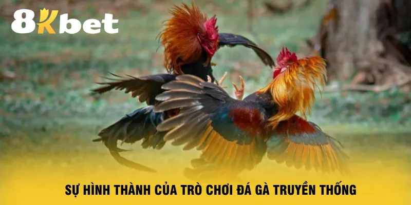 su-hinh-thanh-cua-tro-choi-da-ga-truyen-thong
