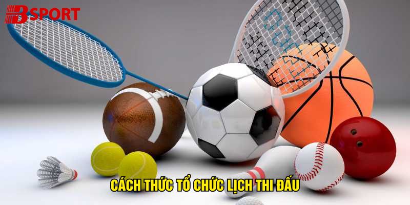 cach-thuc-to-chuc-lich-thi-dau