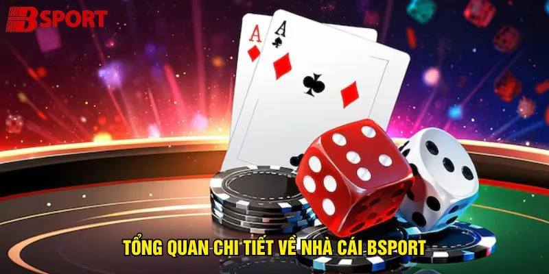tong-quan-chi-tiet-ve-nha-cai-bsport